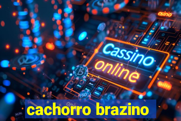 cachorro brazino